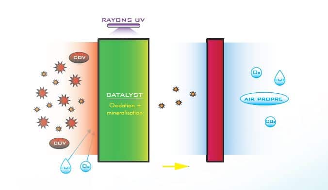 La photocatalyse: technologie de réduction microbiologique